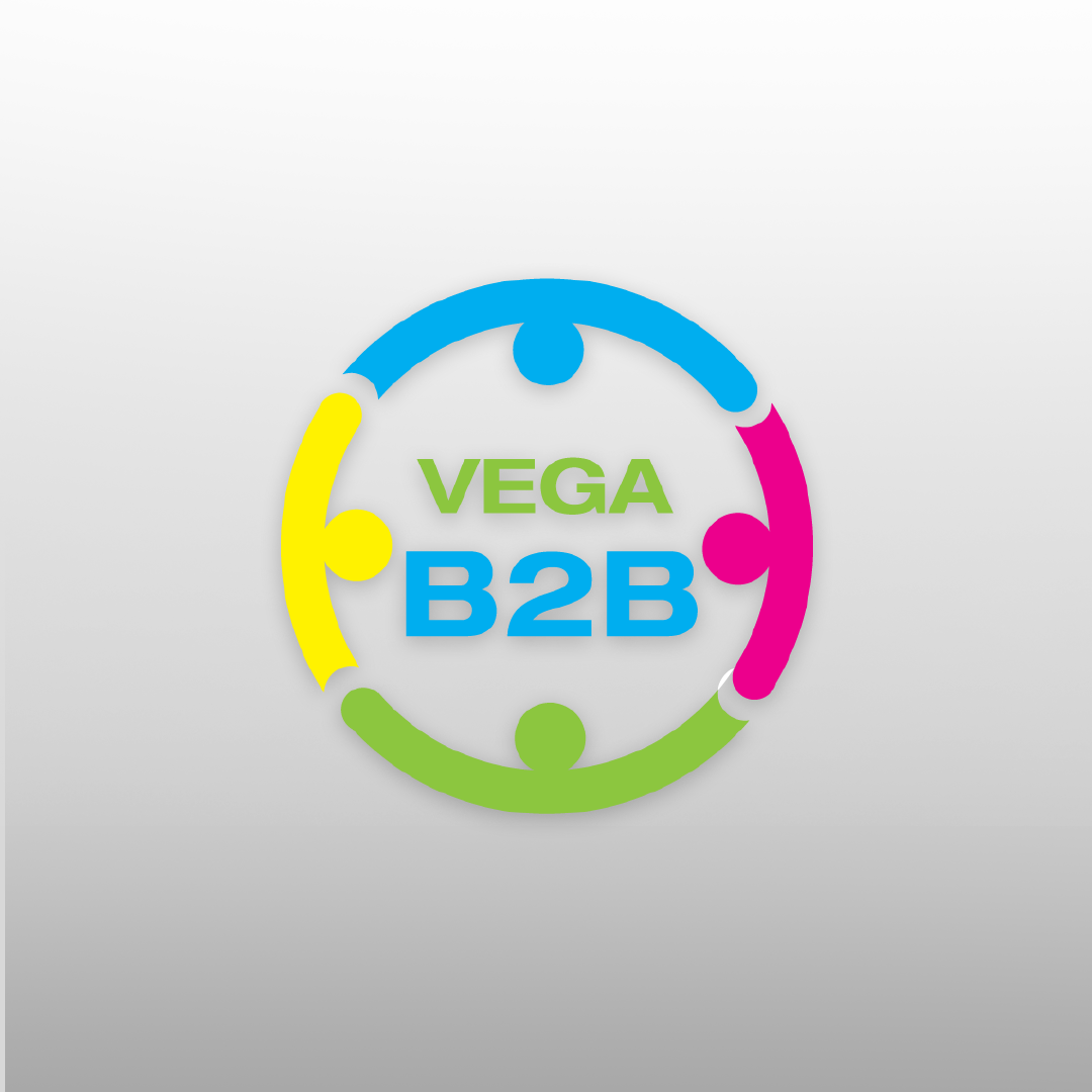 Vega Yazılım - Vega B2B Yazılımı